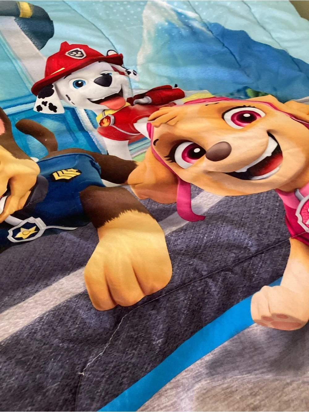 Nickelodeon PAW Patrol Blue Gray and Yellow Kids Comforter